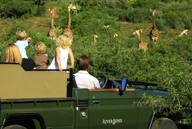 Tanzania Safari -Tips for single parent traveling with kids