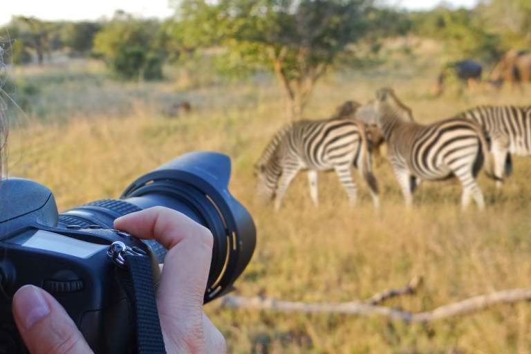 best travel camera safari