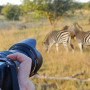 best safari cameras